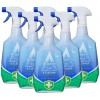  Спрей для дезинфекции в доме Astonish Pine Disinfectant & Cleaner  750 мл
